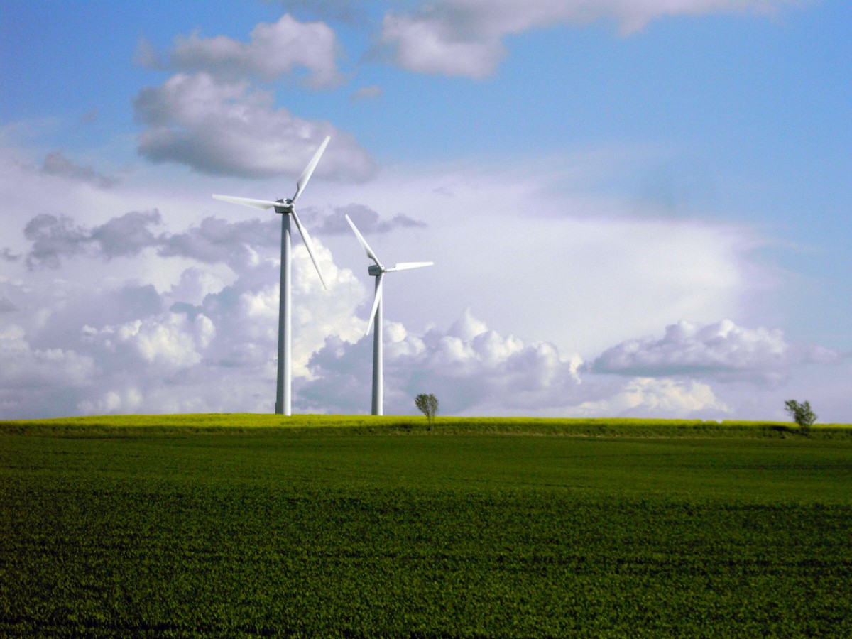 Problematyczne farmy wiatrowe