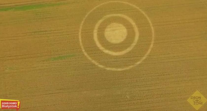 Kręgi w zbożu na Dojlidach pojawiły się już kolejny raz