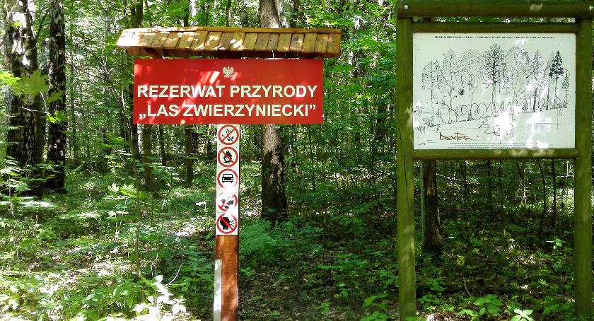 Ekolodzy potrzebni. Las Zwierzyniecki woła o pomoc