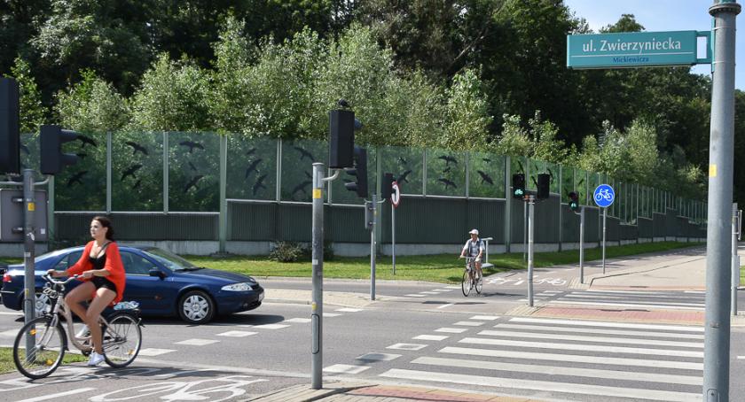 Ponad milion złotych będzie kosztowała nowa droga dla rowerów przy Zwierzynieckiej
