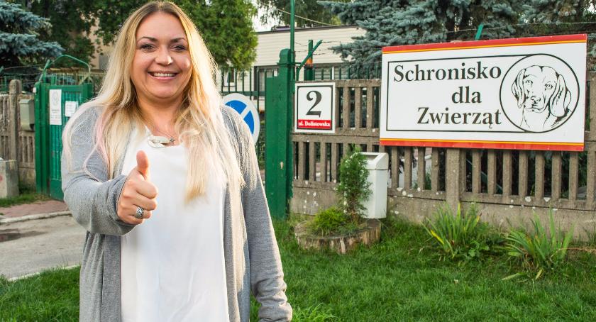 Takiego schroniska może nam zazdrościć cała Polska [KOMENTARZ VIDEO]