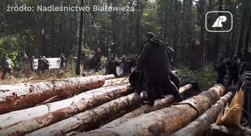 I gdzie jest ta przemoc tej Straży Leśnej