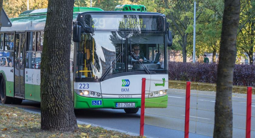 Z transportu publicznego mamy do wyboru autobusy i autobusy oraz autobusy