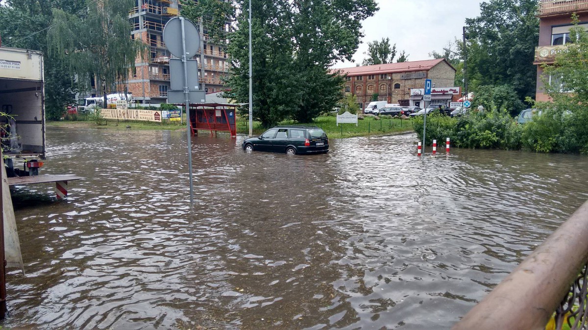 Kto kogo powinien tu edukować?