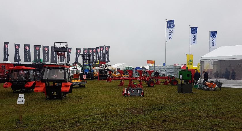 Koja zaprezentowała się na bardzo dużych targach
