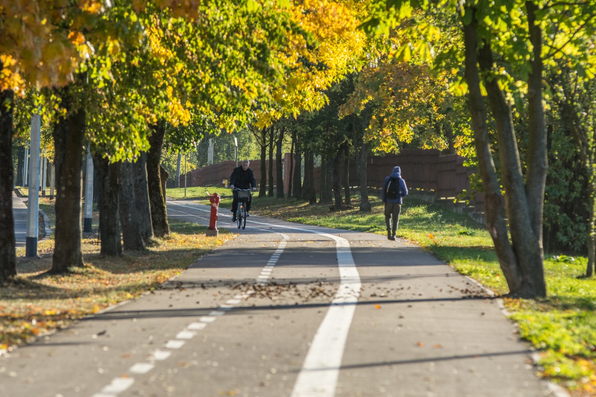 Narciarze po drogach dla rowerów raczej nie pojadą. Chyba, że chcą koniecznie dostać mandat