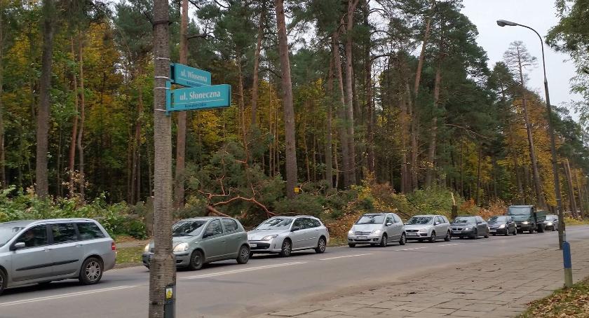 Na Nowym Mieście rozpoczęła się rzeź niewiniątek