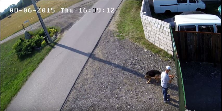 Porzucił ciężarną sukę w upale. Teraz biegacz chce dobrowolnie poddać się karze