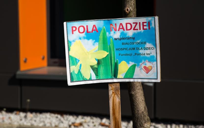 Wiosną znów zakwitnie nadzieja. Ruszyła 5 edycja kampanii „Pola nadziei” w województwie podlaskim