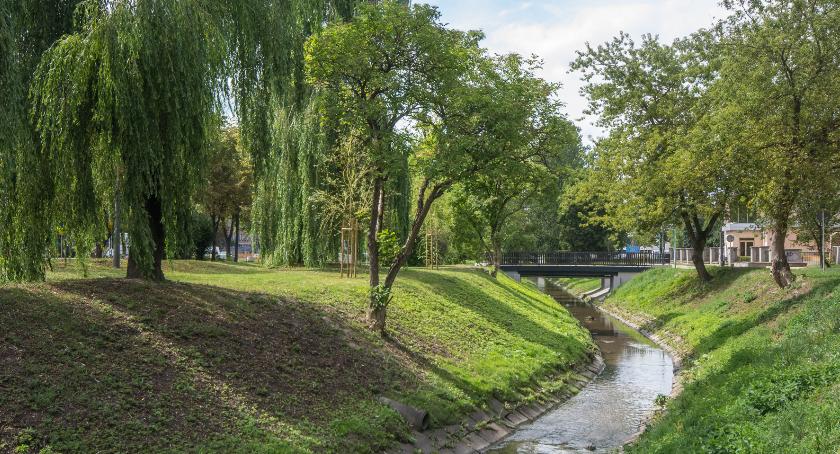Nowoczesne miasta wyznacza ilość zieleni, a nie betonu, szkła i stali