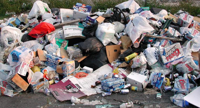 Recykling odpadów - oszczędność energii, lepsza jakość wód, gleby i korzyści dla gospodarki