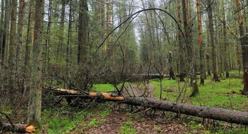 Puszcza Białowieska w ocenie lokalnych mieszkańców