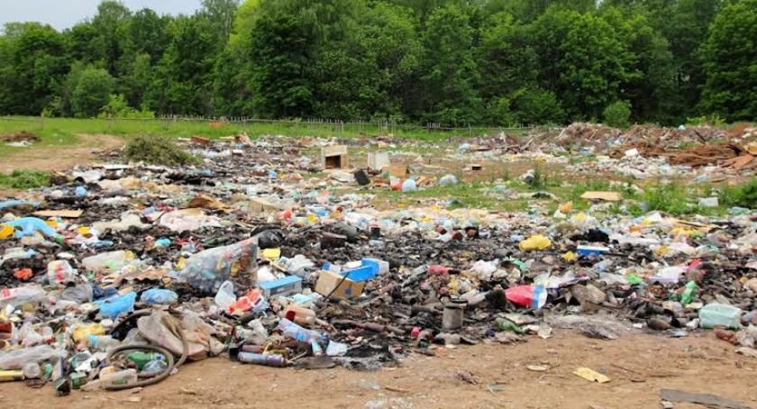 Urzędnicy nie monitorują nielegalnych wysypisk śmieci