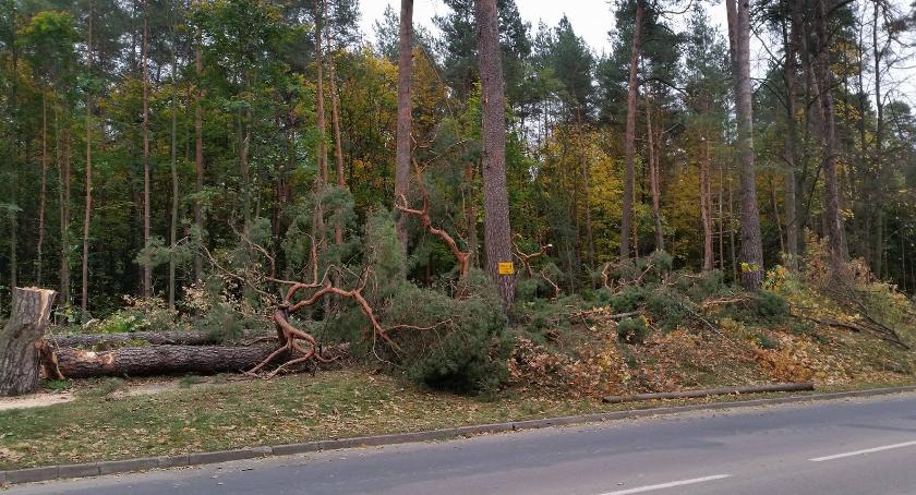 „Ekoterroryzm” jest już poważnym zjawiskiem, także w naszym regionie