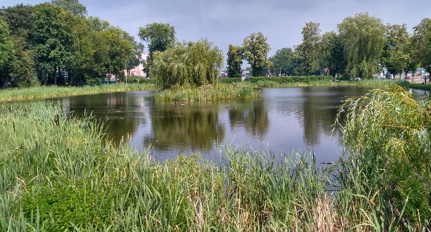 Stawy przy Mickiewicza mają być czyste i przyjemne dla mieszkańców