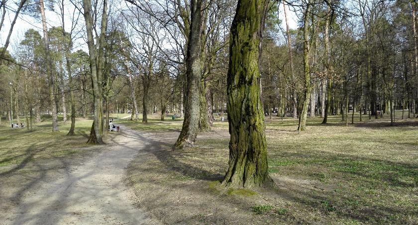 W miejskich parkach może doskonale rozwijać się dzikie życie