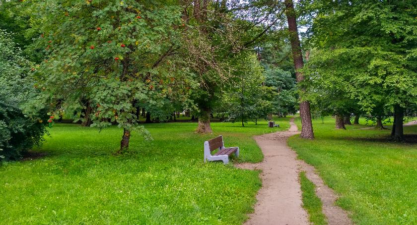 Halo Białystok! Pora na zieleń