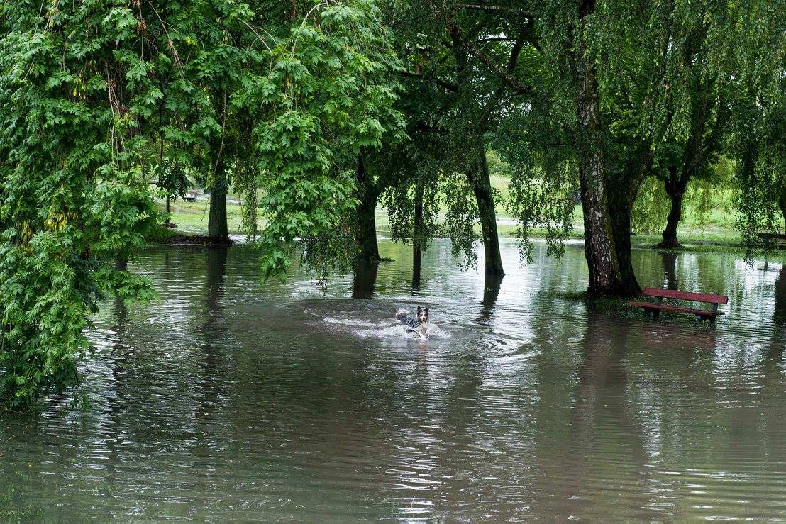 Po deszczu w Parku Antoniuk, na spacerze bardziej przyda się wędka niż rower