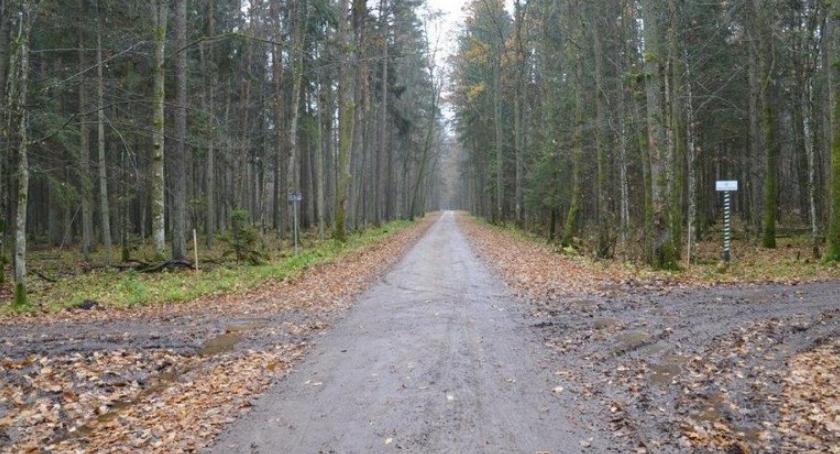 Po remoncie droga narewkowska będzie bezpieczna