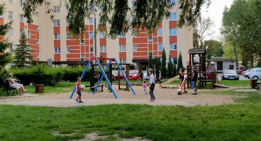 Program OSA będzie działać. Rozstrzygnięto projekty