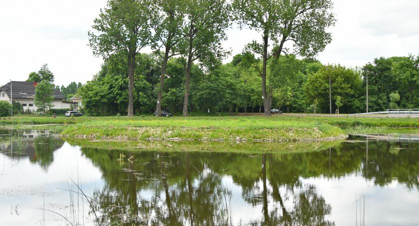 Stawy Marczukowskie będą i zielone, i kolorowe