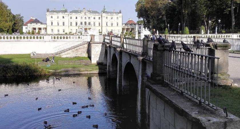Zagrożenie dla zabytków płynie z nieba. Nie od piorunów, tylko od ptaków