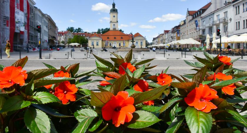 Po latach lania betonu z asfaltem pojawi się nieco inwestycji w zieleń