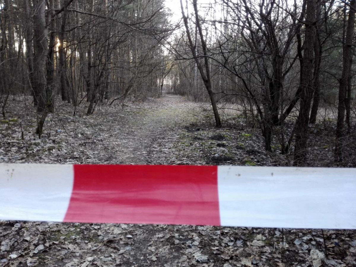 Uzbroić las za wszelką cenę?