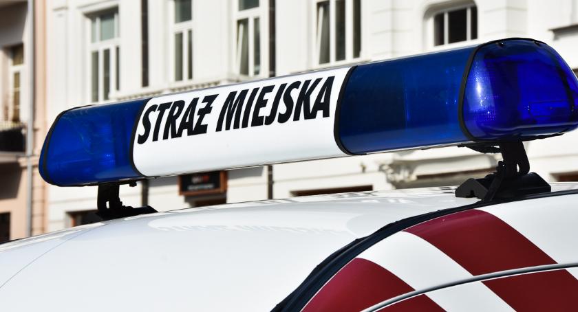 W Krakowie do pomiaru smogu zatrudniono Straż Miejską