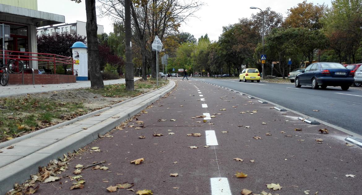 Mieszkańcy województwa podlaskiego chcą więcej ścieżek rowerowych i centrów przesiadkowych