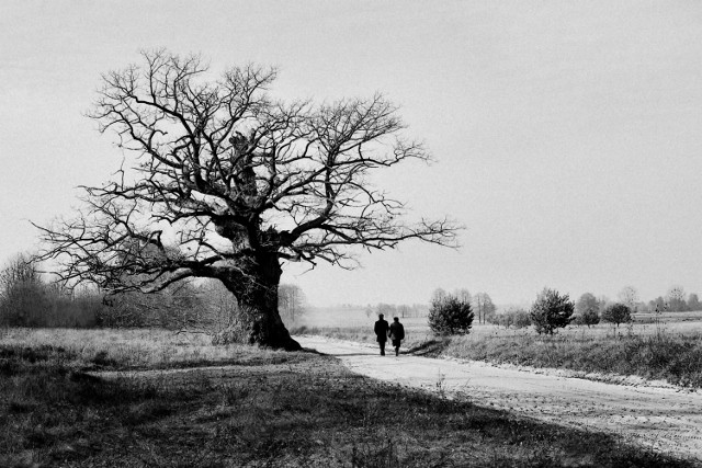 Adam Falkowski - fotograf Podlasia