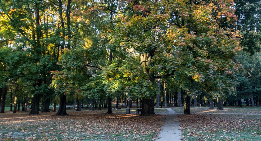 Drzewo jest ważne od samego początku do końca