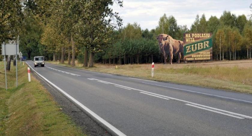 Żubr wita wszystkich zmierzających na Podlasie