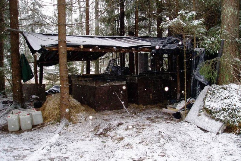 Akadera poleca: leśna bimbrownia zlikwidowana