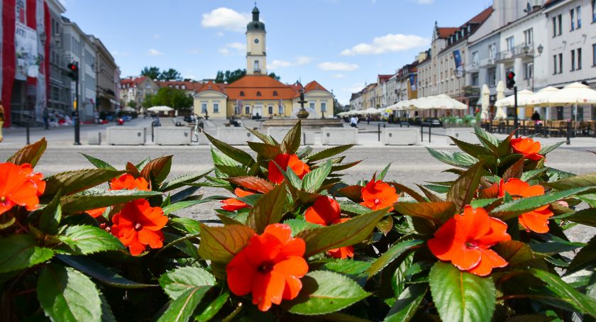 Wybrano lokalizacje dla łąk kwietnych