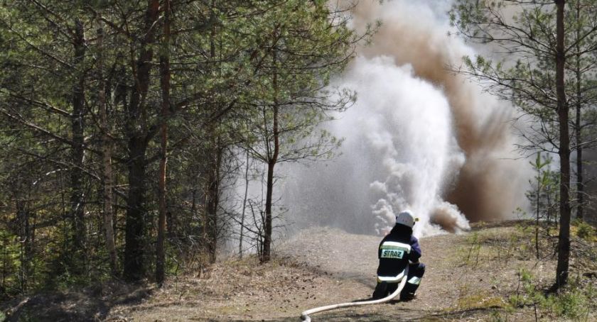 Paliła się Puszcza Białowieska. Pożar ugaszono
