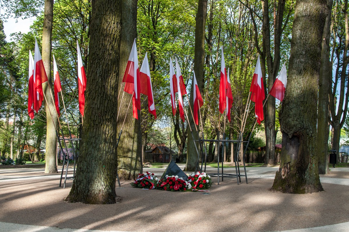 Podejrzane klony w białostockim parku