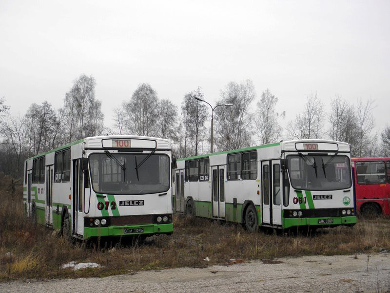 Kochają miejskie autobusy
