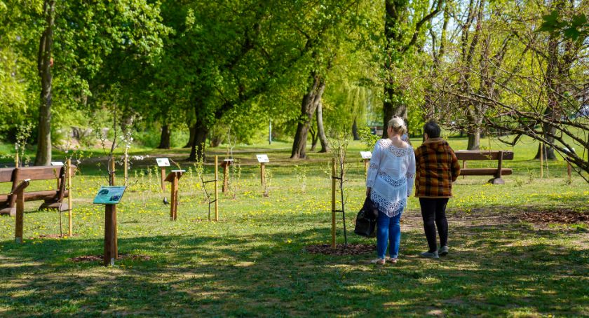 W Parku Antoniuk działa już sad edukacyjny