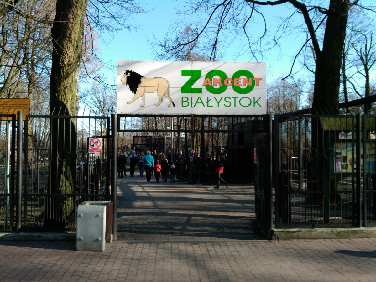 Przewodnik oprowadzi niewidomych po Zoo