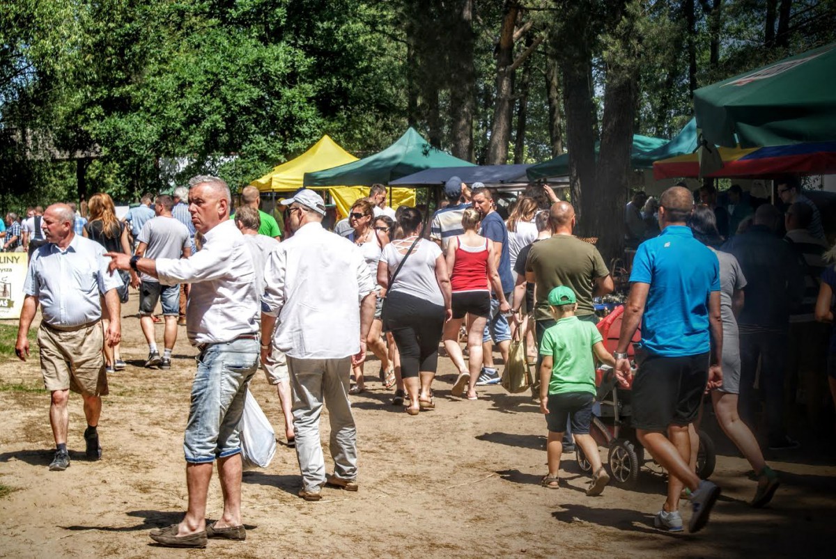Lipcowy Jarmark Staroci i Rękodzieła Ludowego w Kiermusach i inne atrakcje