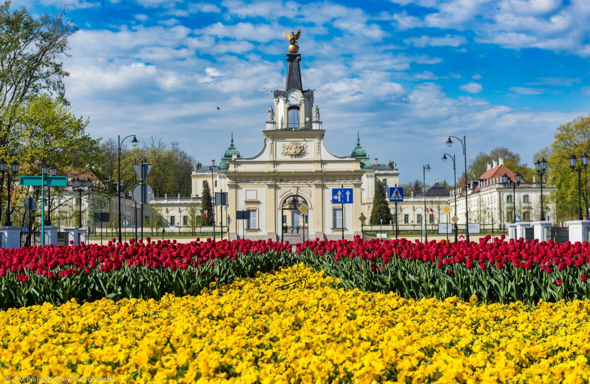 Białystok w kwiatach i zieleni. Nareszcie!