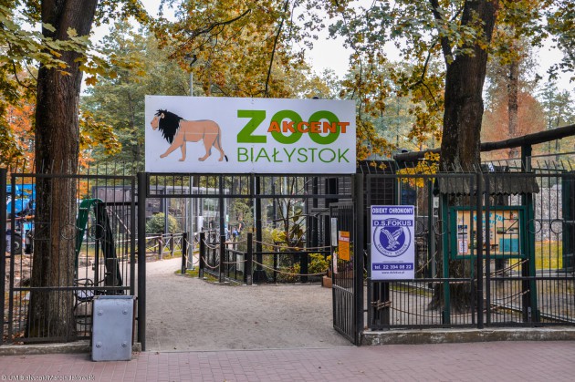 Podsumowanie akcji zbierania żołędzi