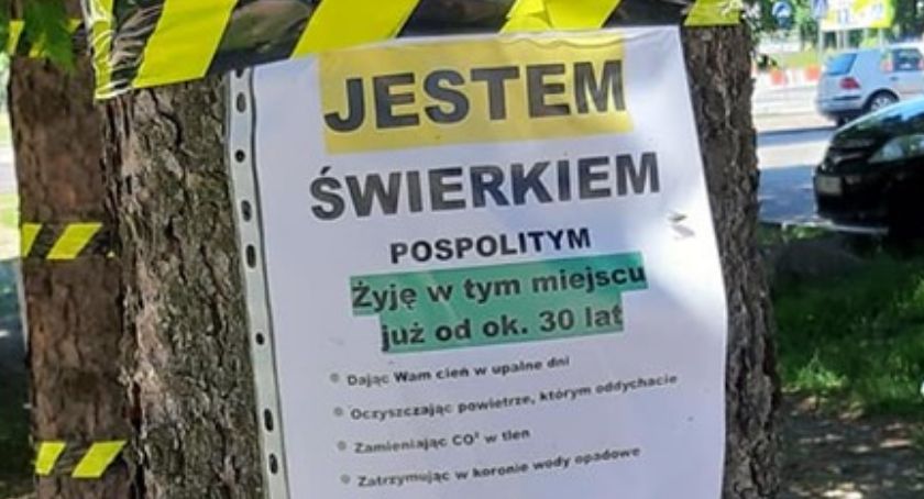Drzewa przed wycinką same się nie obronią