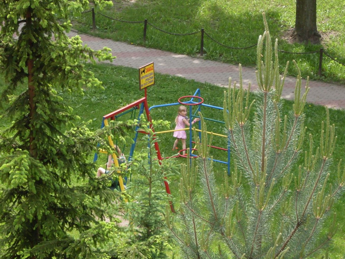 Zakazy wyprowadzania psów są niezgodne z prawem
