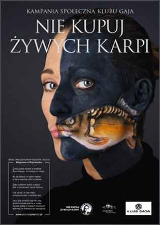Nie baw się w kata - kup na święta karpia w płatach