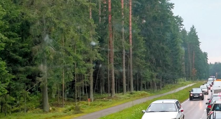 Niedaleko Białegostoku powstanie Szlak Bioróżnorodności