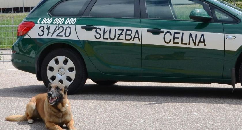 Udzielali chwilówek, zaniżali należny podatek