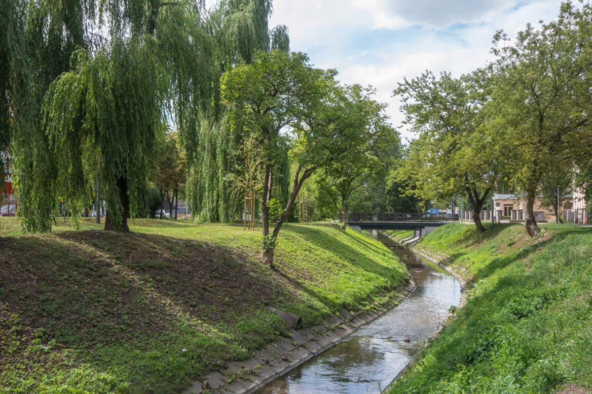 W polskich miastach ubywa parków. Nie ma już miejsca na zakładanie dużych terenów zielonych
