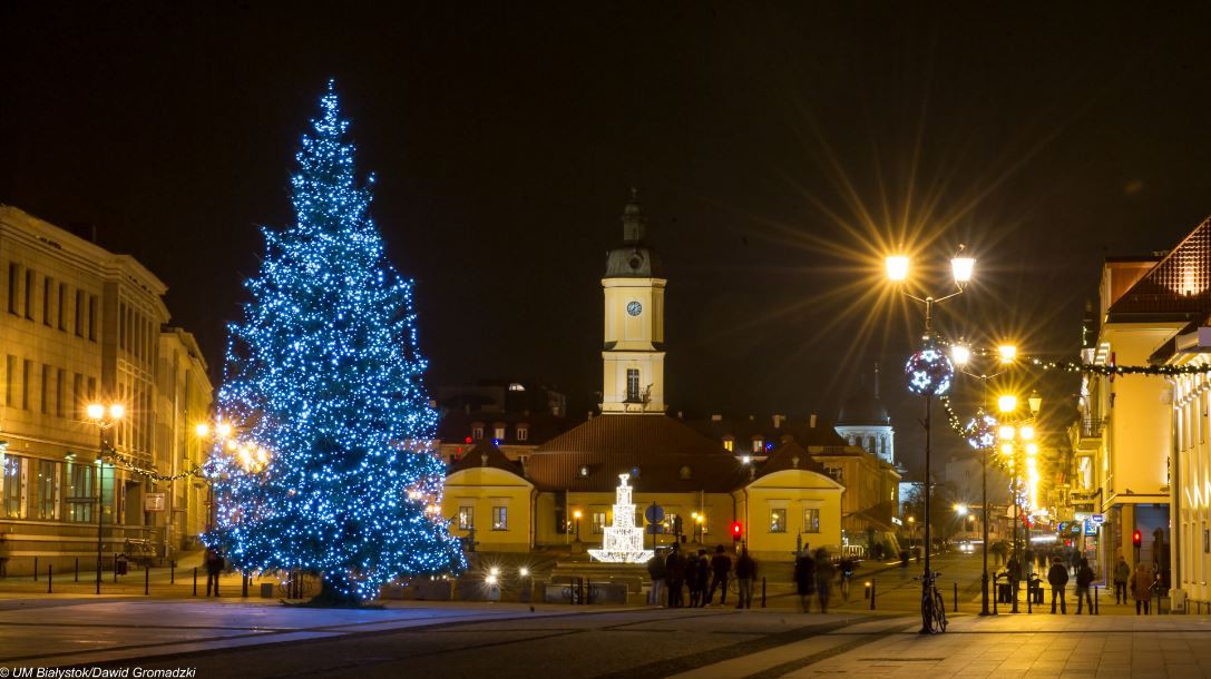 Świąteczne choinki w centrum Białegostoku